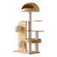 Structure d'escalade pour chat domestique