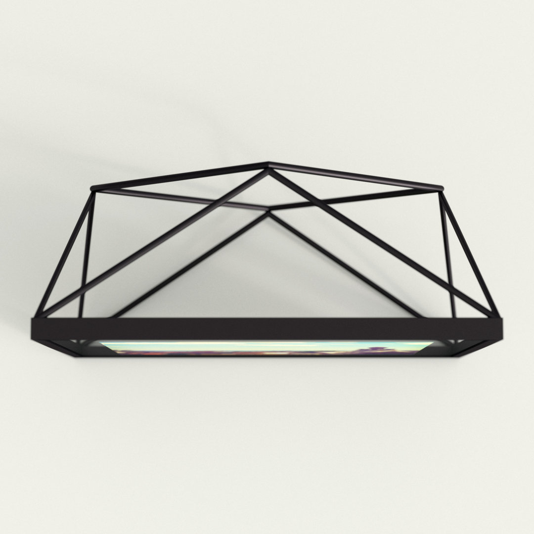 Topawa Black Metal Floater Picture Frame Wrought Studio™ 