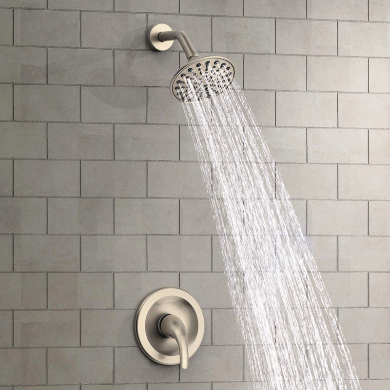 Wall - Mounted Single Handle 6 Spray Pattern Shower Head With Included Valve And Arm, 360° Adjustable Joint On Head, Holes For Easy Maintenance, Brushed Nickel Plastic Design Functions Faucet