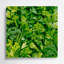 Aquarelle botanique 66, art mural vert en métal