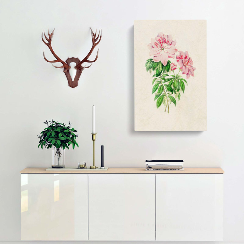 Pink Queen Victoria Azalea Illustration - Wrapped Canvas Painting Print, 60cm H x 40cm W x 3cm D