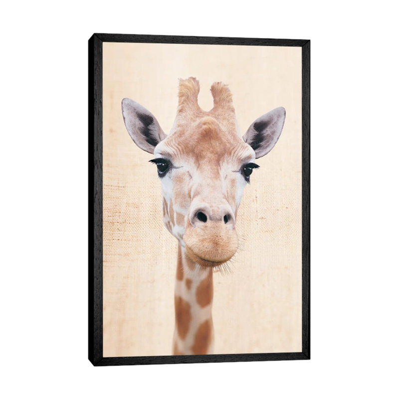 Manyara by Rachael Hale - Print on Canvas, 66.04 cm H x 45.72 cm W, Black Framed