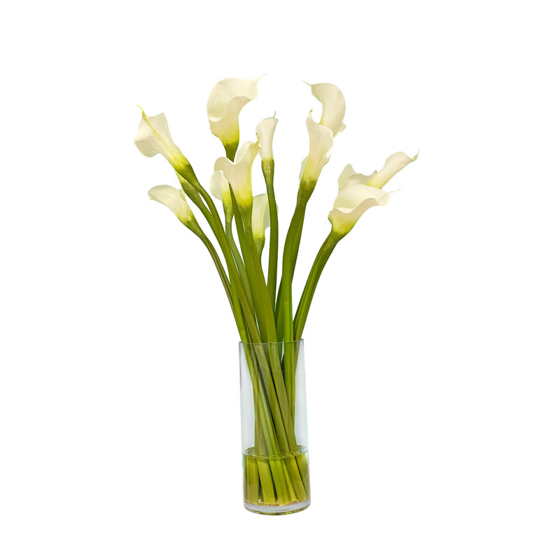 CALLA LILY IN CYLINDER