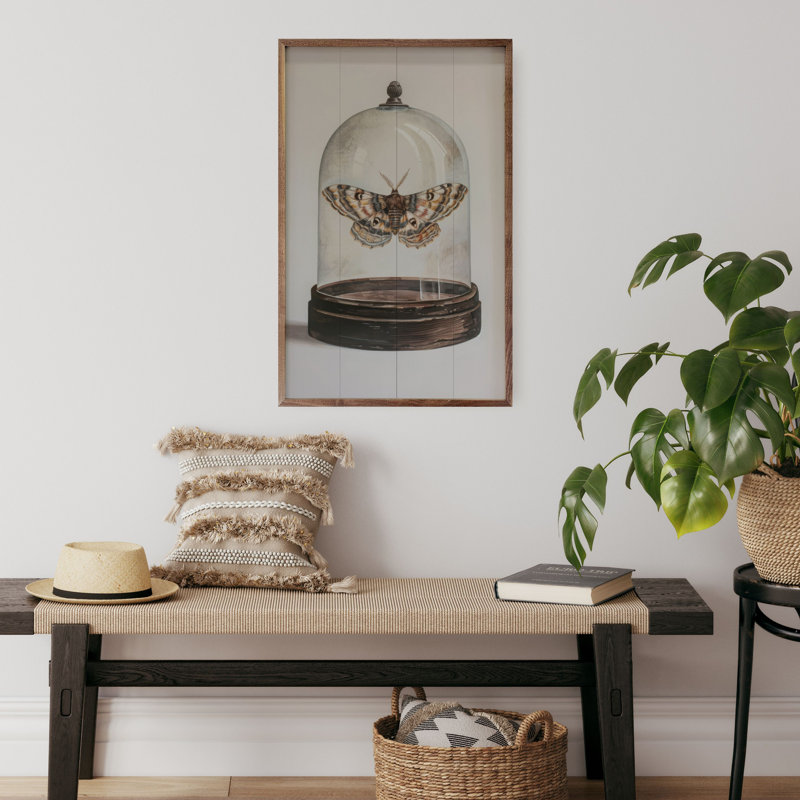 «Glass Moth I» par Petals Prints Design, H 16 po x l 10 po