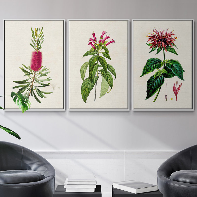 Jolies roses botaniques VII, ensemble de 3 toiles encadrées, H 36 po x l 72 po, Blanc