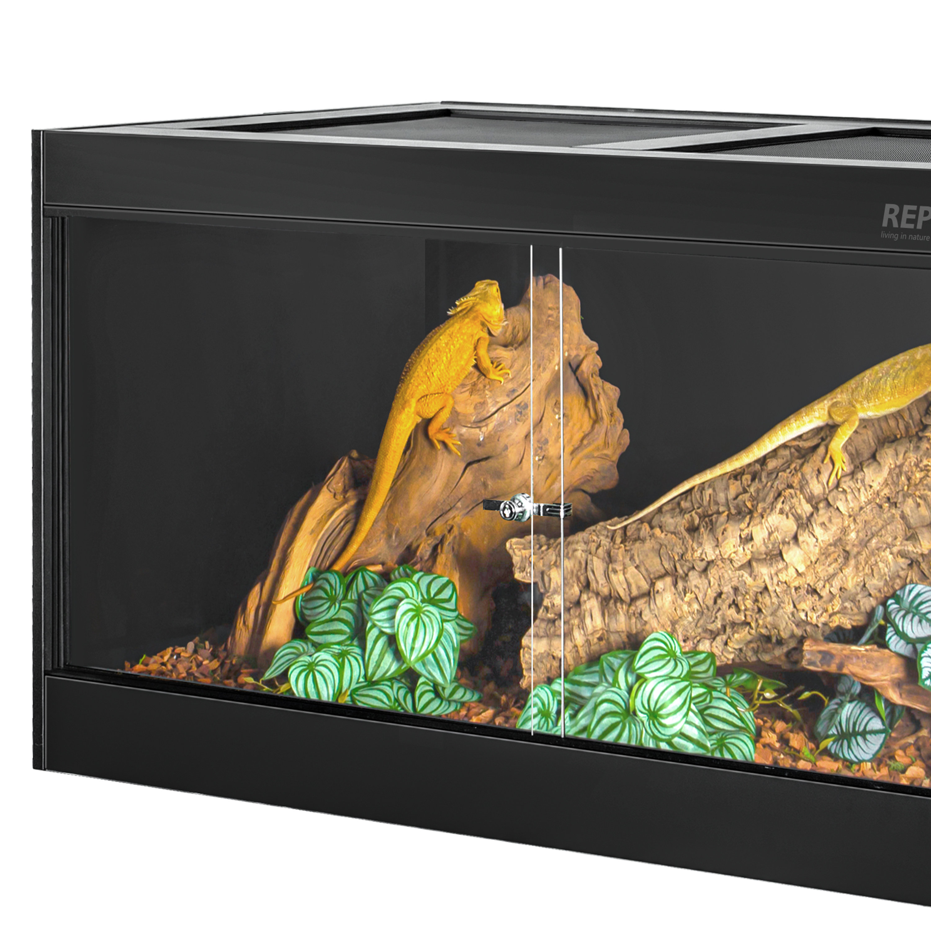 REPTIZOO 48'' x 24'' x 24'' Reptile Terrarium | Wayfair