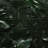 Tropical jungle - 32"x32" art on canvas