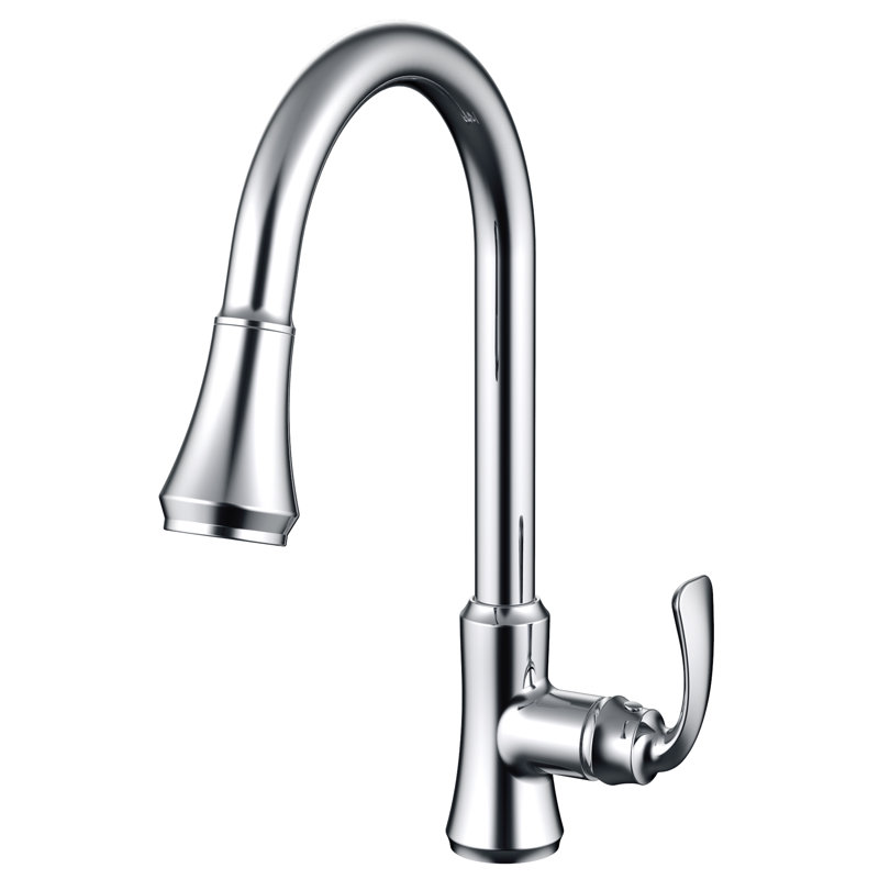 Daweier Pull Out Kitchen Faucet, Chrome