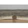 Tapis gris Lilianna