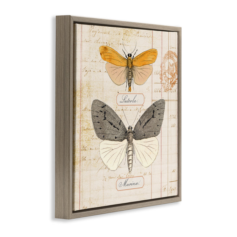  «Butterflies», art mural encadré par Susan Arnot, H 18 po x l 18 po, Cadre flottant orme Montalcino