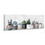 «Wild Succulents In Pots», reproduction sur toile tendue-1040559162