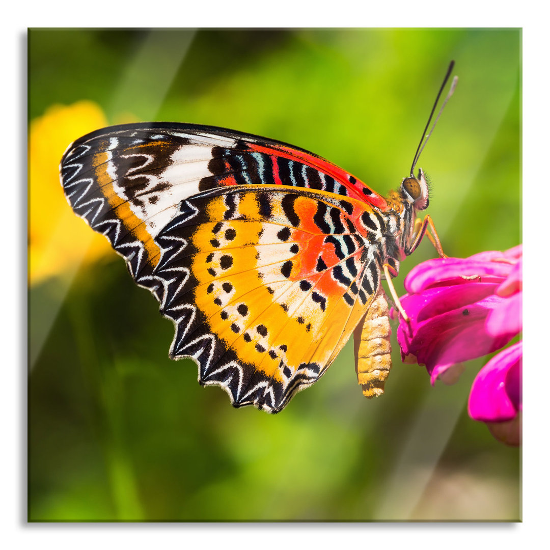 Glasbild Schmetterling auf Blüte