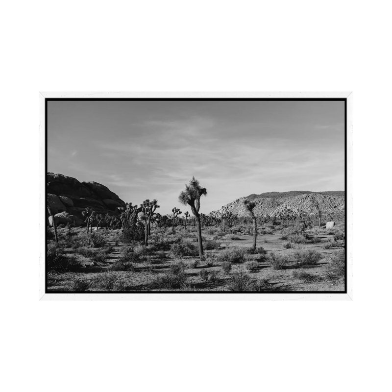 Joshua Tree National Park XXXI by Bethany Young - Print on Canvas, White Framed, 66.04cm H x 101.6cm W x 3.81cm D