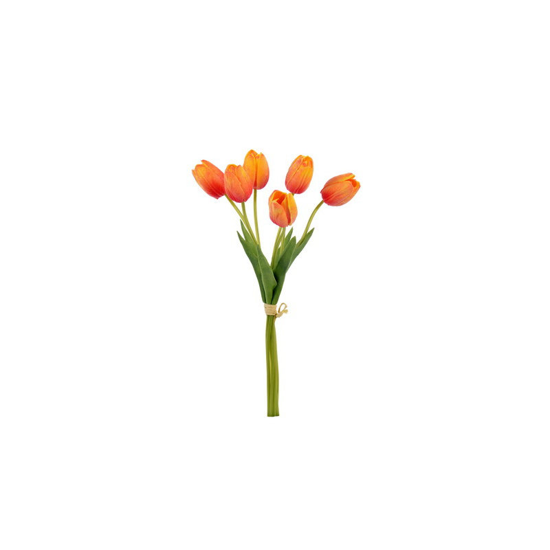 Bouquet de tulipes