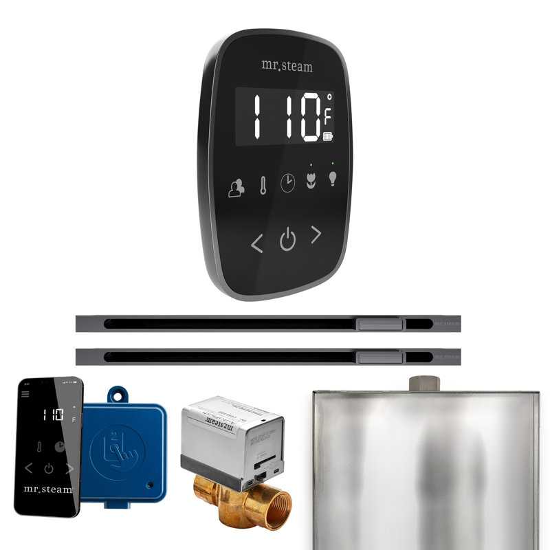Ensemble de commande de douche à vapeur ButlerFlex Max avec contrôle TempoFlex et tête de vapeur linéaire 