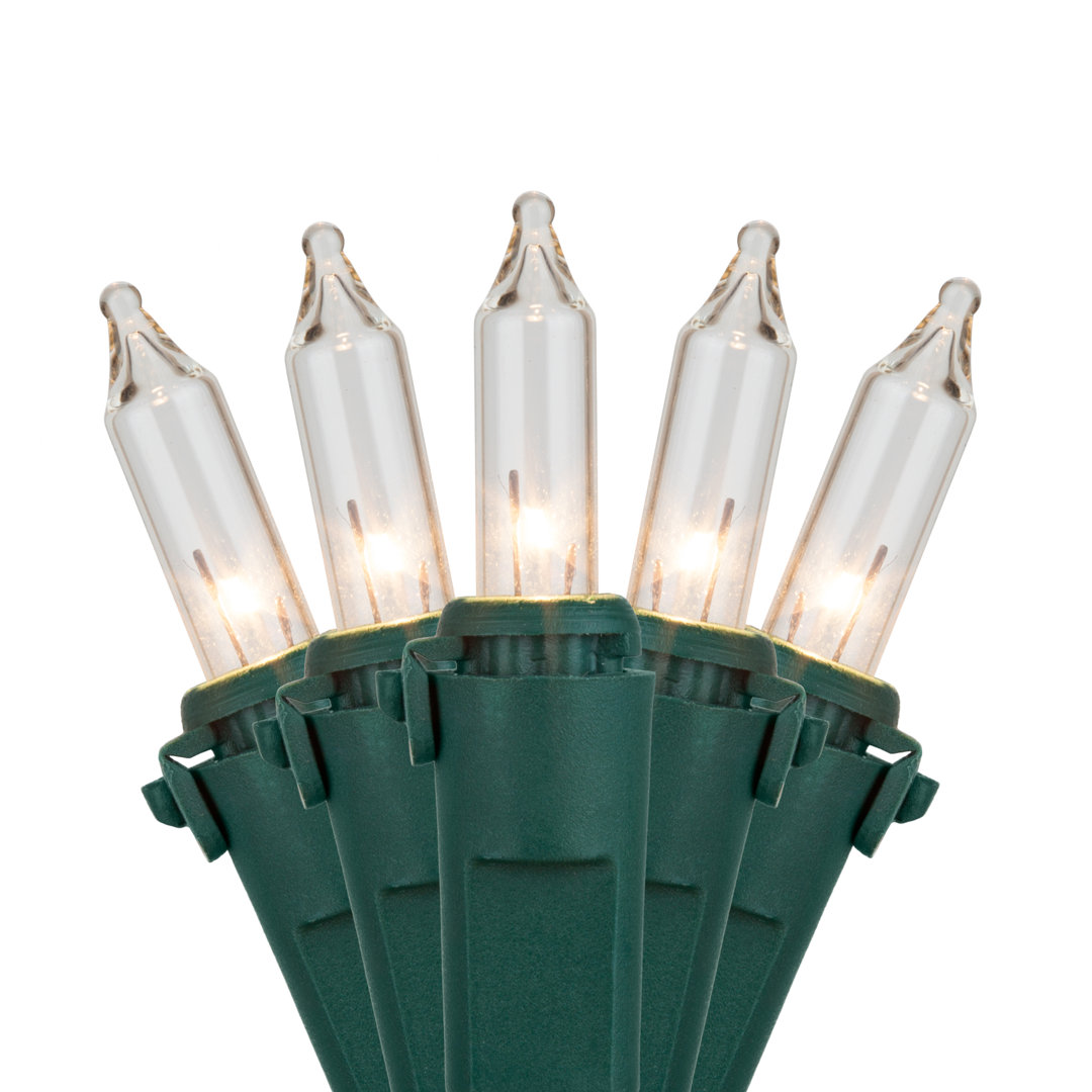100 Mini Lights 6" Lead The Holiday Aisle® 