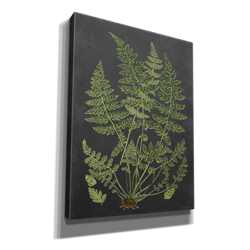 «Fern Study» par Lettered & Lined, estampe numérique sur toile, H 16 po x l 12 po x P 0,75 po