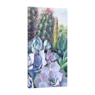 «Succulent Garden 1», toile tendue par Kimberly Allen