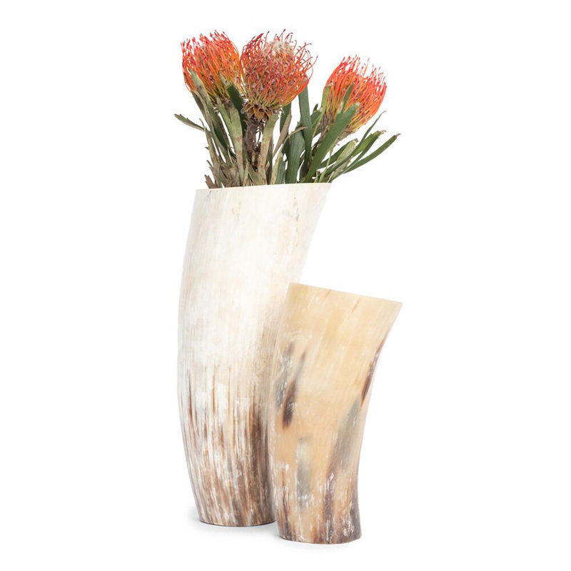 Ankole-Watusi Cow Horn Table Vase, 8" H x 3" W x 3" D