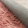 Joeann Performance Indoor Rug