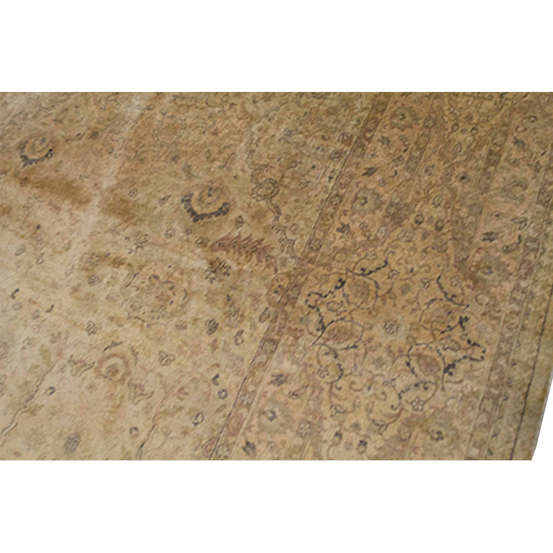 Silk Oriental Area Rug in Beige