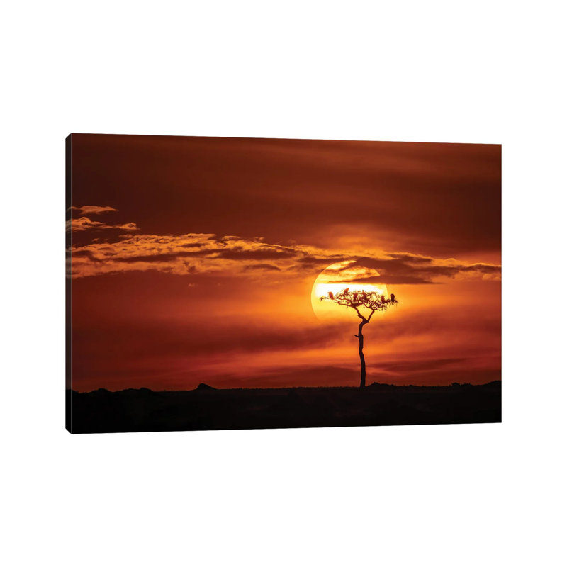Vultures In A Tree At Sunset, Masai Mara by Jane Rix - Gallery-Wrapped Canvas Giclée on Canvas, Wrapped Canvas