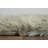 Jalissia Faux Rabbit Fur Hand Tufted Solid Color Rug-2029970687