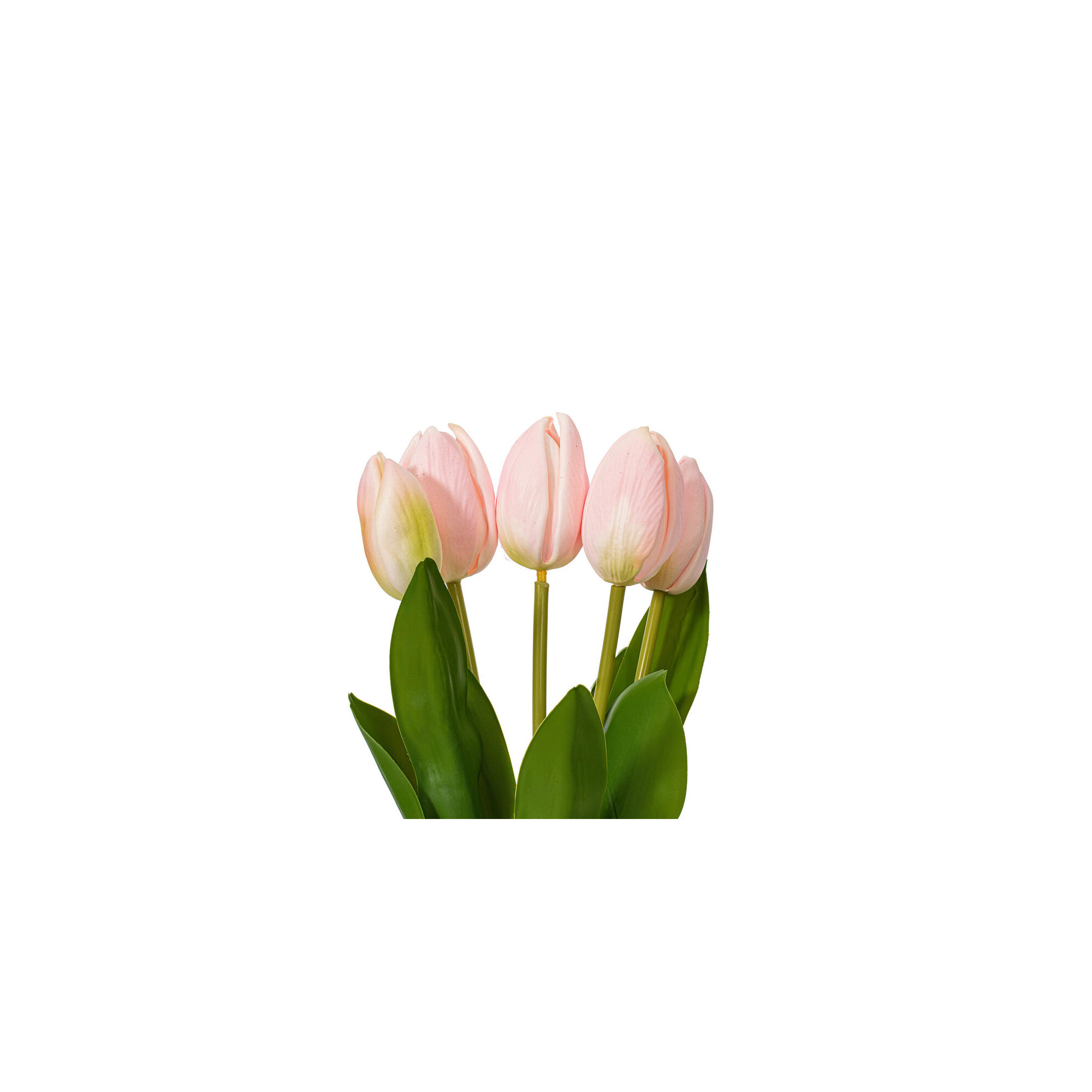 16"H Plum Tulip Bundle of 5., Pink