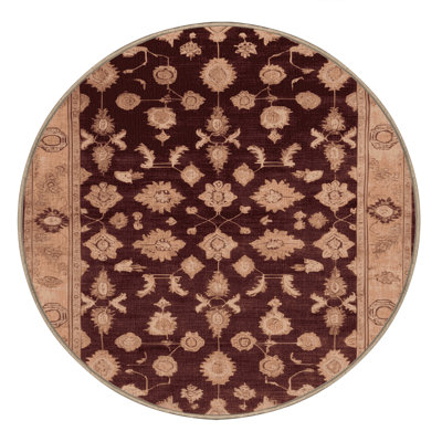 Machine Washable Overdyed Brown Area Rug