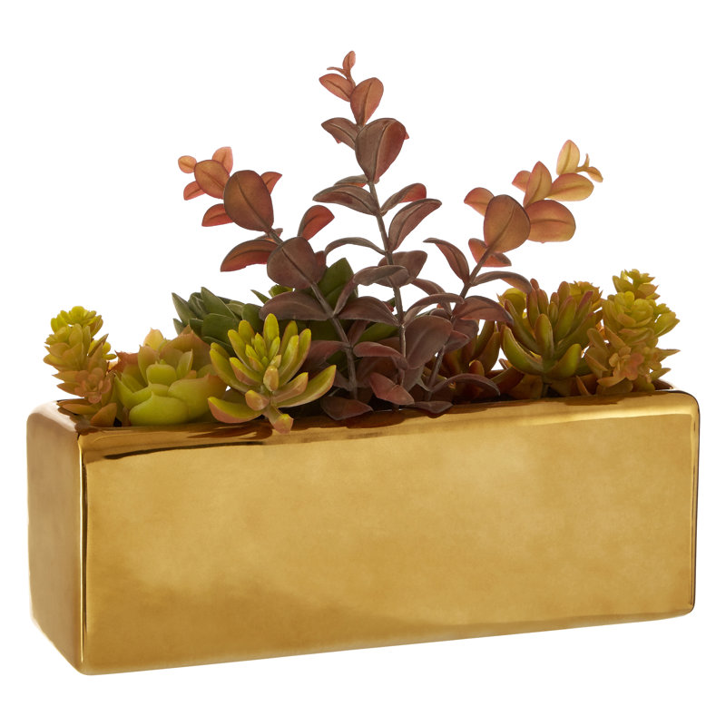 Sprague 24cm Succulent in Cement Planter
