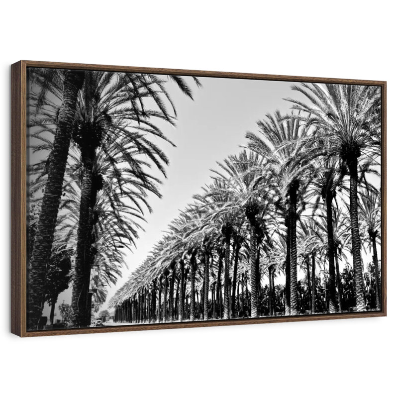 Palmiers en ordre, 37 po x 25 po, Cadre flottant en noyer