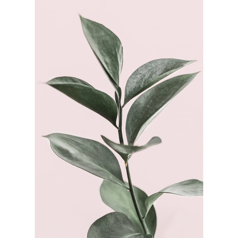 Foliage, 121.92 cm H x 81.28 cm W