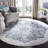Saterfiel Performance Oriental Rug-156098