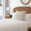 Taie décorative Tommy Bahama