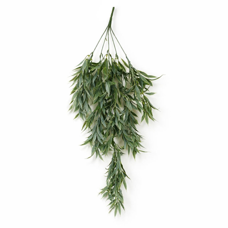 80 Plant, 1
