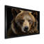 «Bear Portrait - Bear», reproduction d'art sur toile encadrée-492327684-520721073-520721072