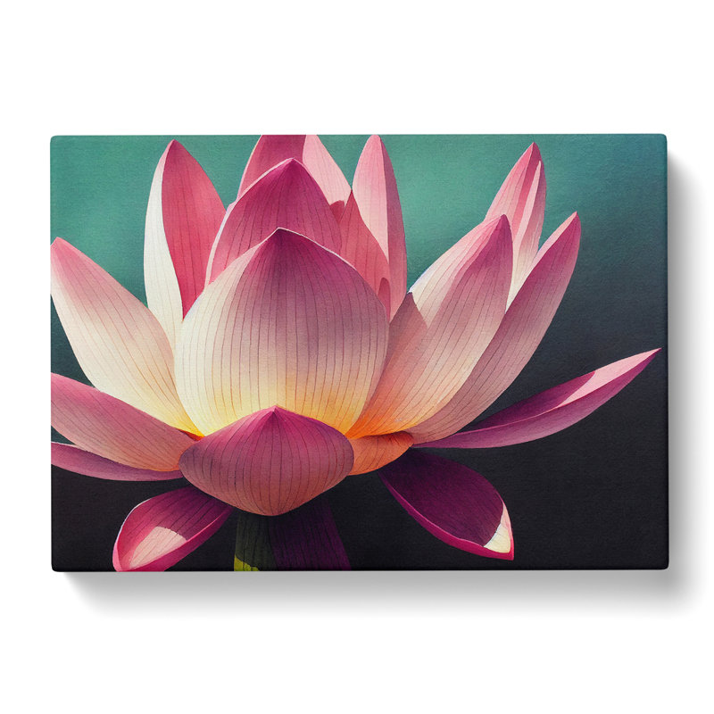 Gorgeous Lotus Flower - Wrapped Canvas, 35cm H x 50cm W x 3cm D