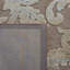Tapis brun zone Berloz-49315994