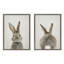 «Bunny Portrait on Linen and Bunny Tail on Linen» par Amy Peterson, ensemble d'art mural sur toile encadrée-1717372448
