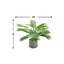Palmier artificiel en pot 16 po Areca-33390919