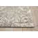 Platine Oriental Area Rug in Beige