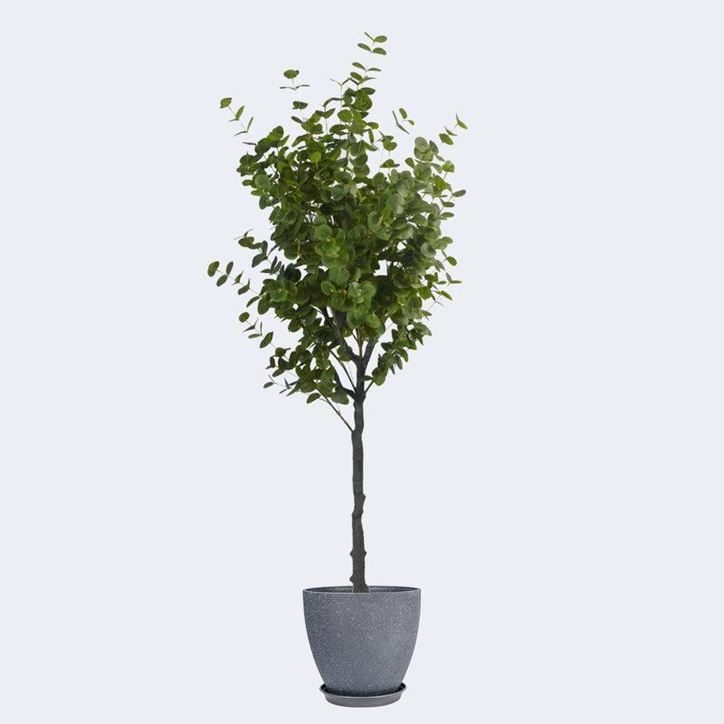 Pots ronds en résine artificielle avec plateau d'eucalyptus artificiel et résine, Gris foncé