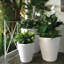 Dot Self Watering Plastic Pot Planter-20262646-17049374