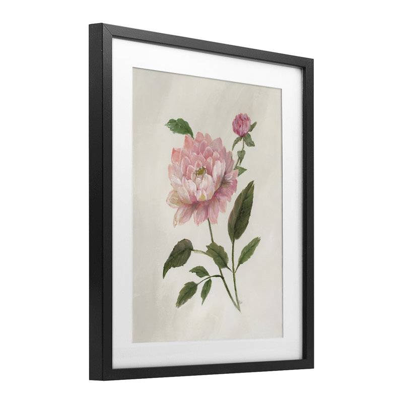 «Rosie Rose Flower Study», reproduction d'art sous verre encadrée par Nan, Cadre noir minuit, H 16 po x l 13 po