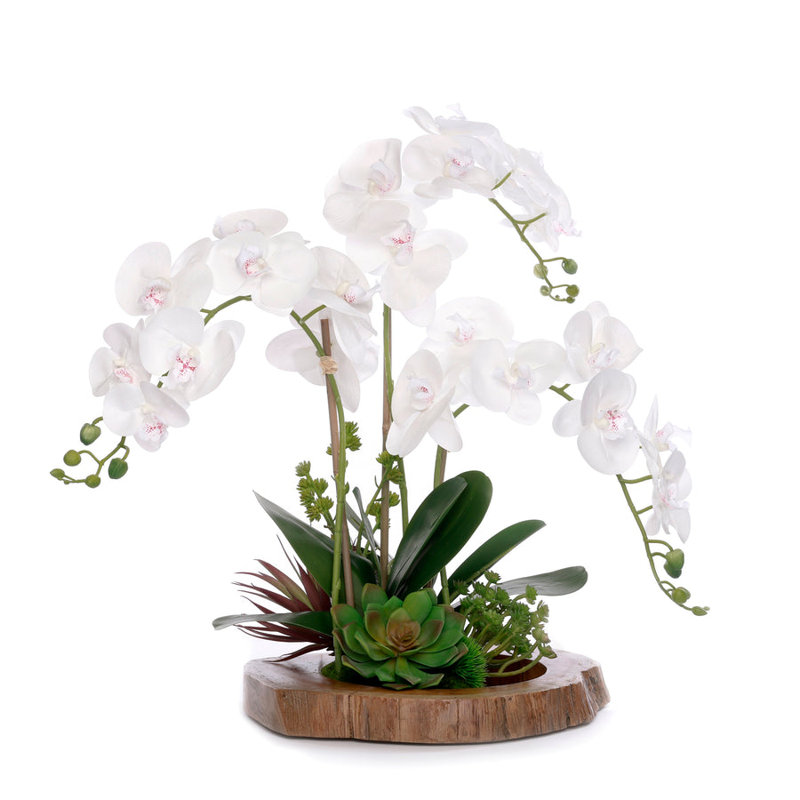 Real Touch Orchid with Succulent/Moss Arrangement in Teak Wood Mirror