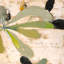 Terre Flora 1 Print by Atkinson, Patrick-1015864964