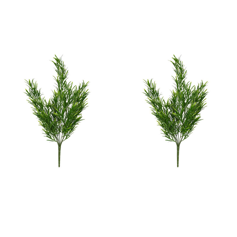 Arbustes podocarpus