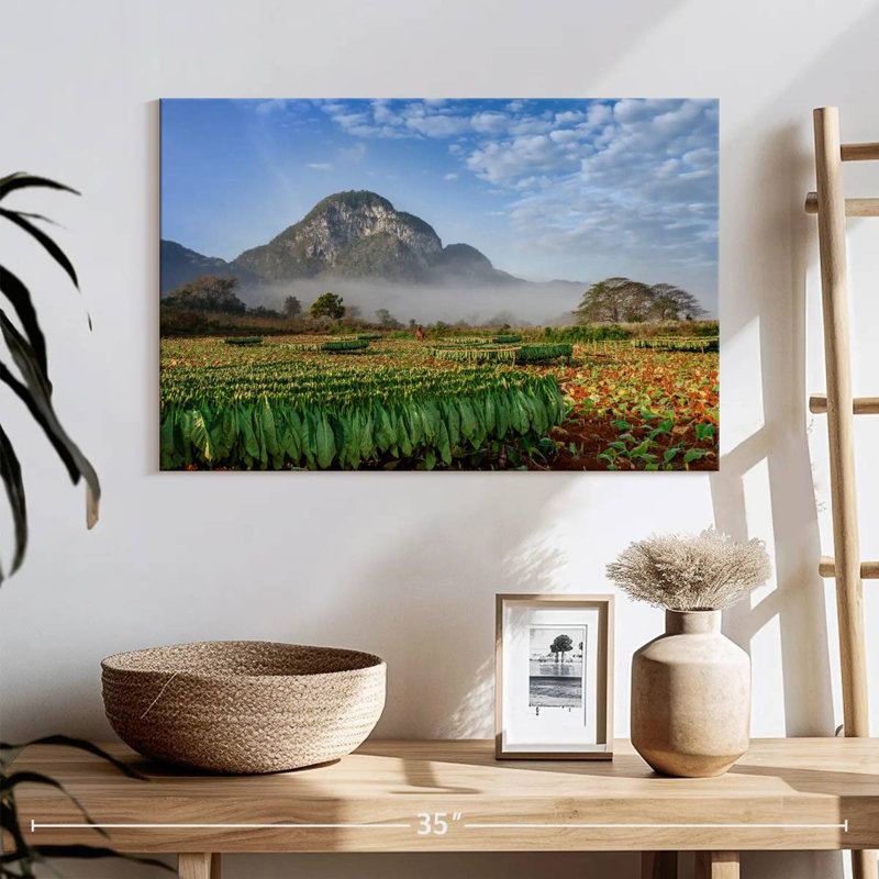 Paysage de ferme de tabac Alvord, H 16 po x l 24 po