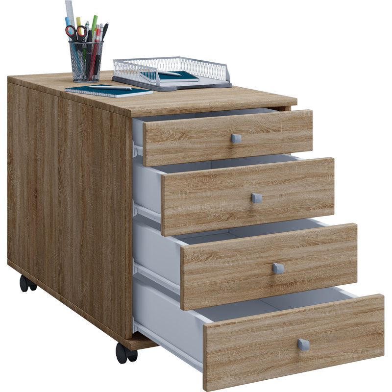 Rayiona 42cm Wide File Cabinet, Brown, 75cm H x 42cm W x 57cm D