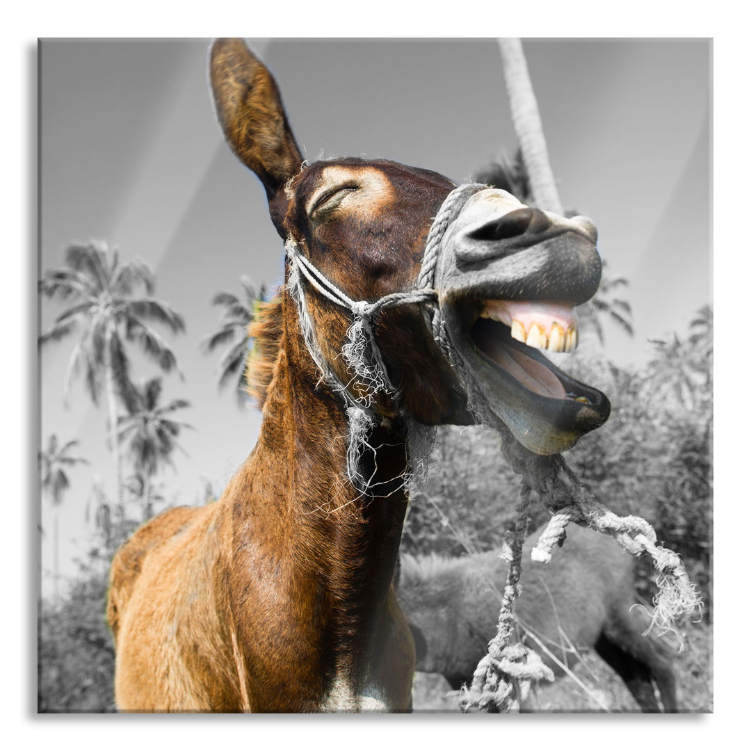 Glasbild Funny Laughing Donkey under Palm Trees